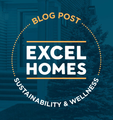 Blog sustainabilitywellness image